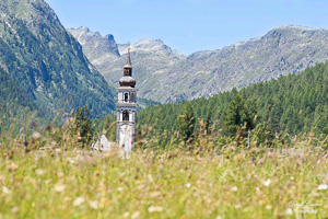 Caché dans le champs