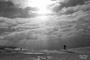 Cross-country skiing in the Hallingskarvet National Park (NOR)