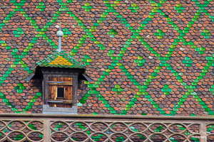 Roof in Alsace